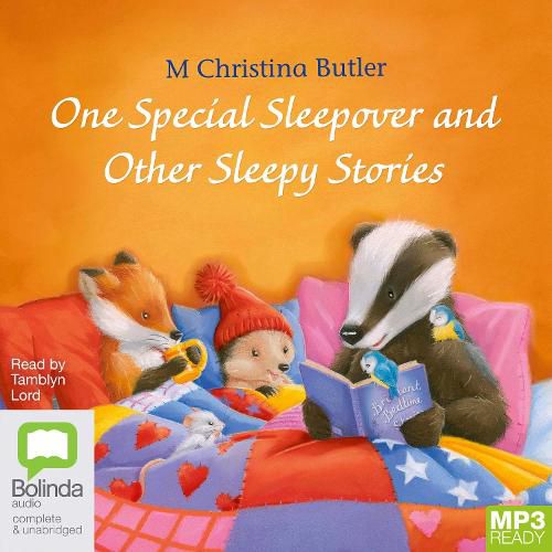 One Special Sleepover