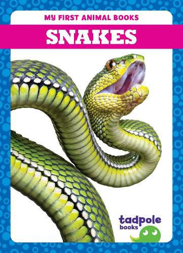 Cover image for Snakes