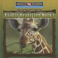 Cover image for Animal Heads and Necks