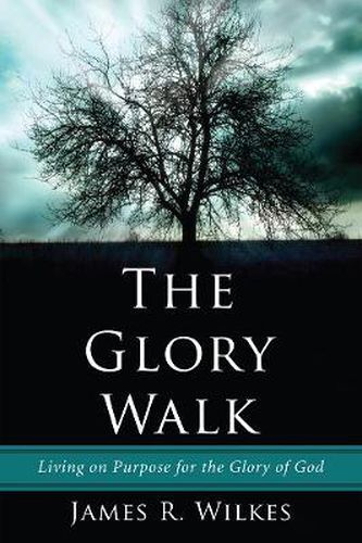 Cover image for The Glory Walk: Living on Purpose for the Glory of God