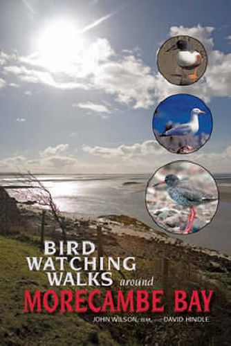 Cover image for Birdwatching Walks Around Morecambe Bay