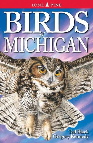 Cover image for Birds of Michigan