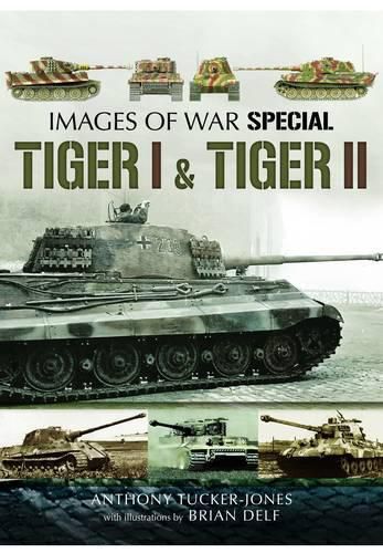 Cover image for Tiger I and Tiger II