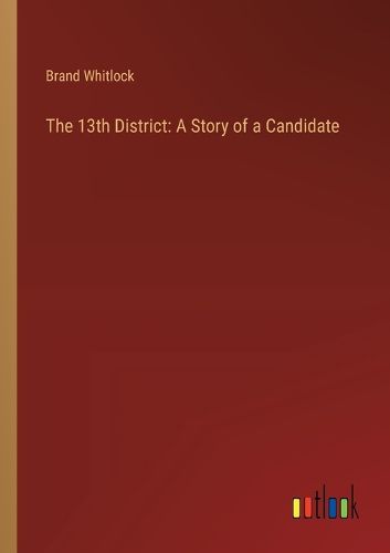 Cover image for The 13th District