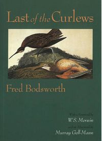 Cover image for Last of the Curlews