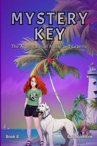 Cover image for Mystery Key