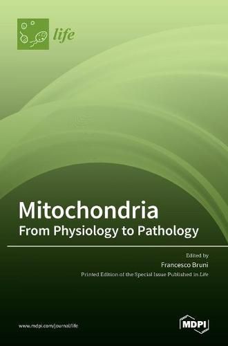 Cover image for Mitochondria: From Physiology to Pathology: From Physiology to Pathology