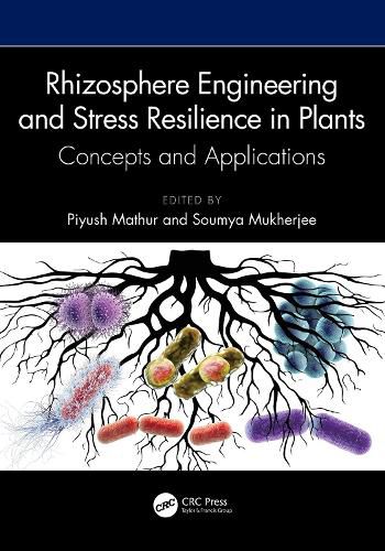 Cover image for Rhizosphere Engineering and Stress Resilience in Plants