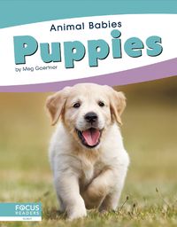 Cover image for Animal Babies: Puppies