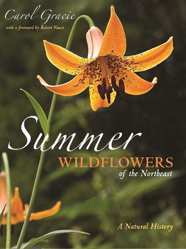 Cover image for Summer Wildflowers of the Northeast: A Natural History