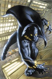 Cover image for Black Panther By Christopher Priest Omnibus Vol. 1