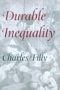 Cover image for Durable Inequality