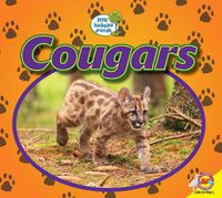 Cover image for Cougars