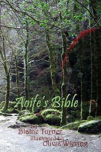 Cover image for Aoife's Bible