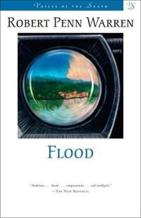 Cover image for Flood: A Novel