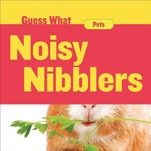 Cover image for Noisy Nibblers: Guinea Pig