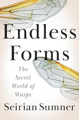 Cover image for Endless Forms: The Secret World of Wasps