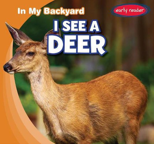 Cover image for I See a Deer