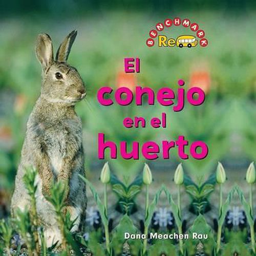 El Conejo En El Huerto (the Rabbit in the Garden)