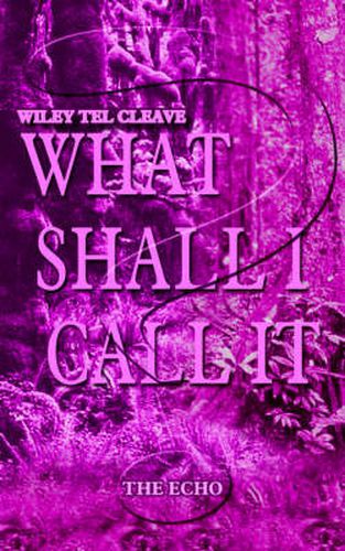 Cover image for What Shall I Call It?: The Echo