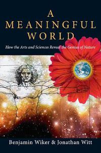 Cover image for A Meaningful World - How the Arts and Sciences Reveal the Genius of Nature