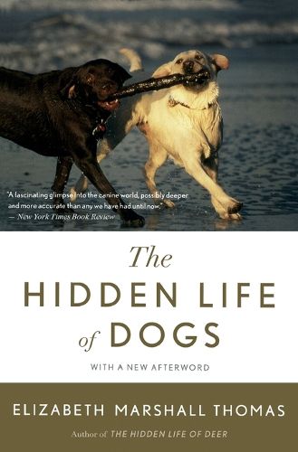 Cover image for The Hidden Life of Dogs