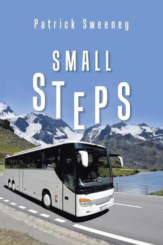 Cover image for Small Steps