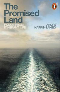 Cover image for The Promised Land: Poems from Itinerant Life