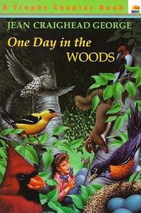 Cover image for One Day in the Woods