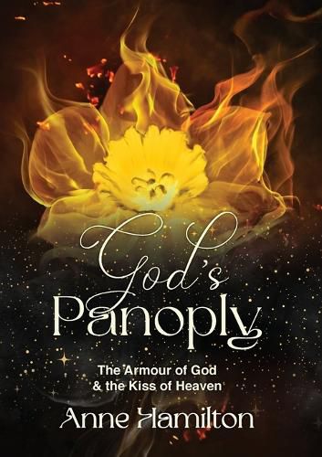 Cover image for God's Panoply