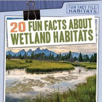 Cover image for 20 Fun Facts about Wetland Habitats