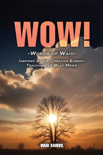 Cover image for Wow