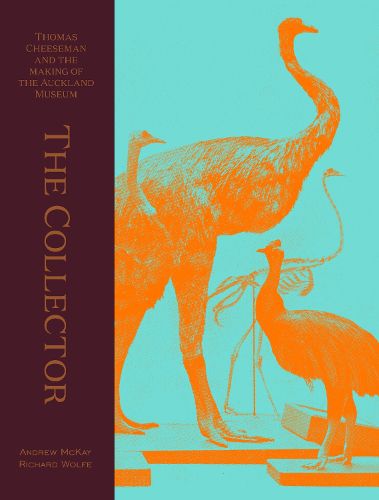 Cover image for The Collector