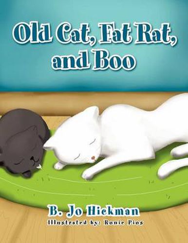 Cover image for Old Cat, Fat Rat, and Boo