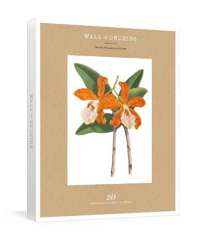 Wall Of Orchids: 20 Rare Botanical Prints to Frame
