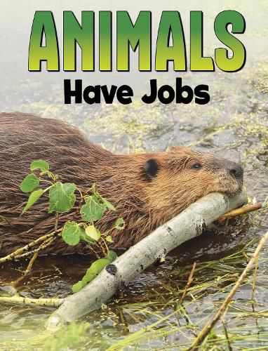 Cover image for Animals Have Jobs