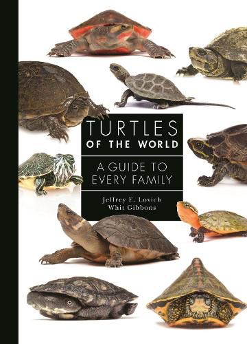 Turtles of the World: A Guide to Every Family