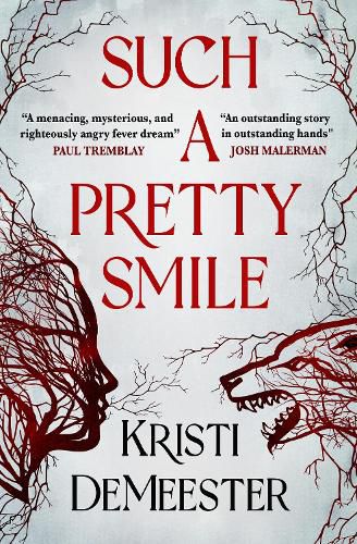 Cover image for Such a Pretty Smile