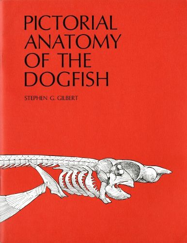 Cover image for Pictorial Anatomy of the Dogfish