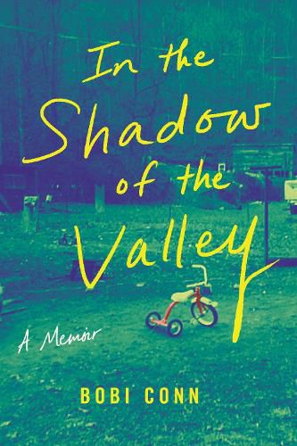 Cover image for In the Shadow of the Valley: A Memoir