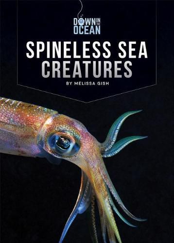 Cover image for Spineless Sea Creatures