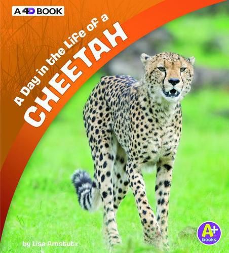 Cover image for A Day in the Life of a Cheetah: A 4D Book