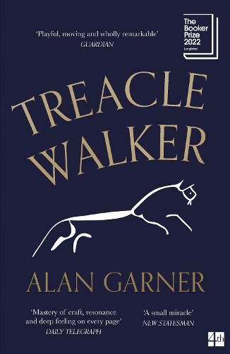 Cover image for Treacle Walker