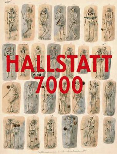 Cover image for Hallstat 7000