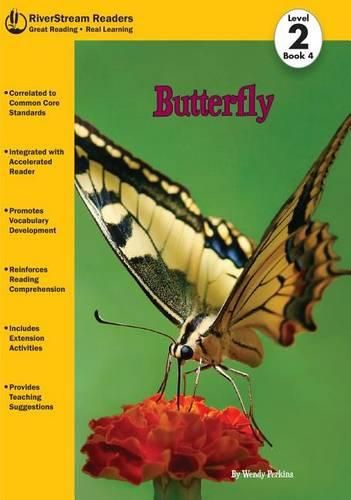 Cover image for Butterfly