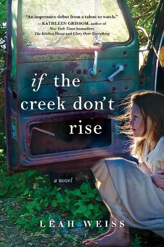 Cover image for If the Creek Don't Rise: A Novel