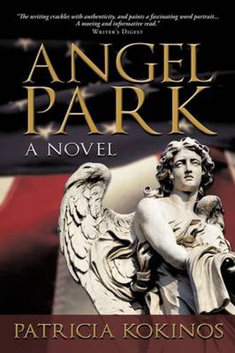 Cover image for Angel Park