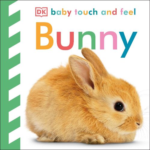 Cover image for Baby Touch and Feel Bunny