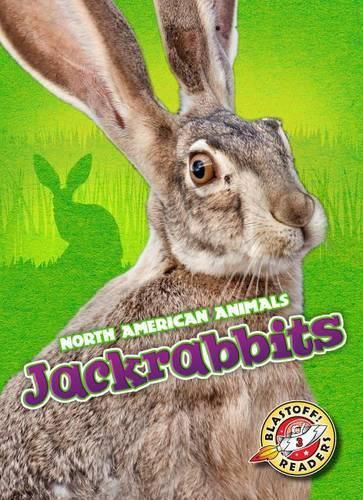 Jackrabbits