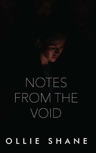 Cover image for Notes From the Void